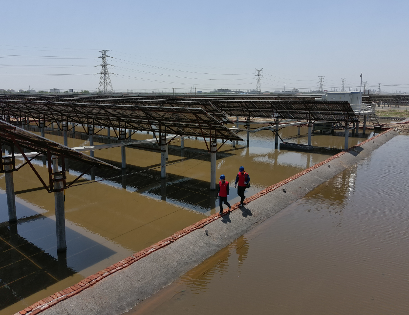 开元(中国)省电线电缆行业开元(中国)