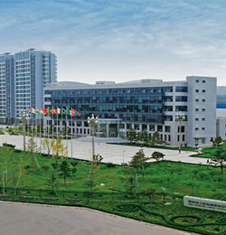 特变电工开元(中国)鲁能泰山电缆有限公司