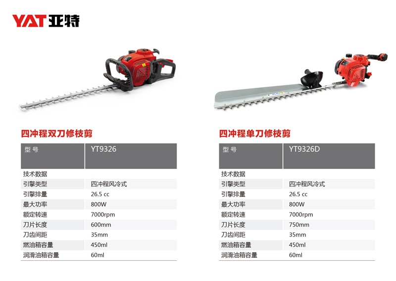 网红爆品 (5)