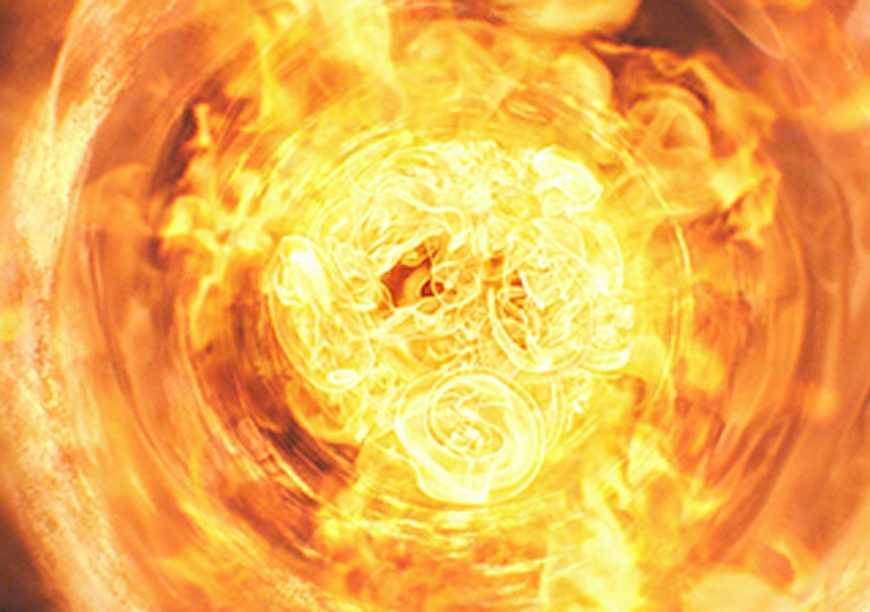 网红爆品 (2)