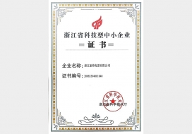 浙江省科技型企业证书