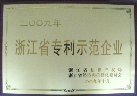 浙江省专利示范企业-2009