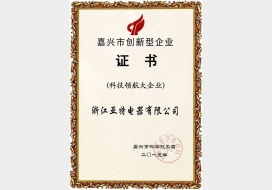 嘉兴市创新型企业（领航大企业）-2015