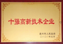 十强高新技术企业